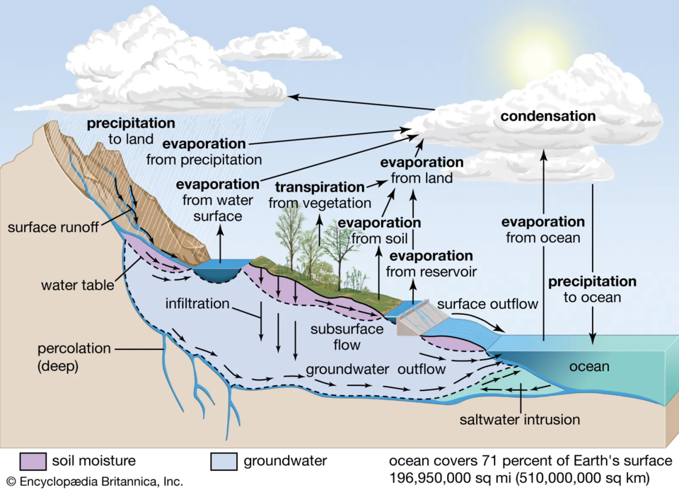 hydrologic-cycle.png