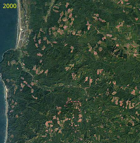 clearcutting-in-oregon.gif clearcutting-in-oregon.gif
