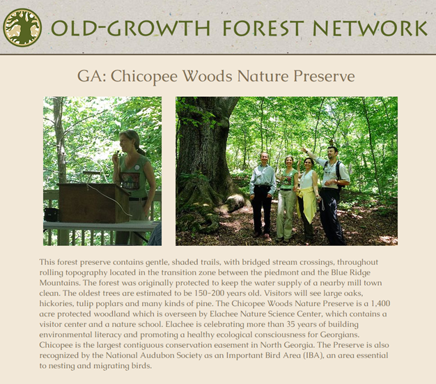 old-growth-forest-network.png old-growth-forest-network.png