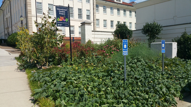 emory-university-garden-1.png emory-university-garden-1.png