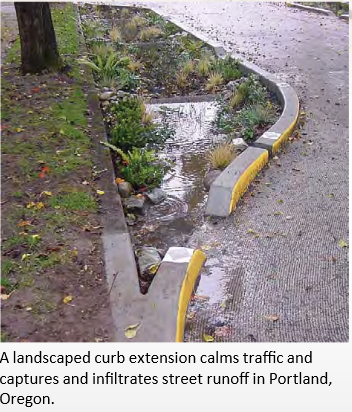 landscaped-curb-extension.png landscaped-curb-extension.png