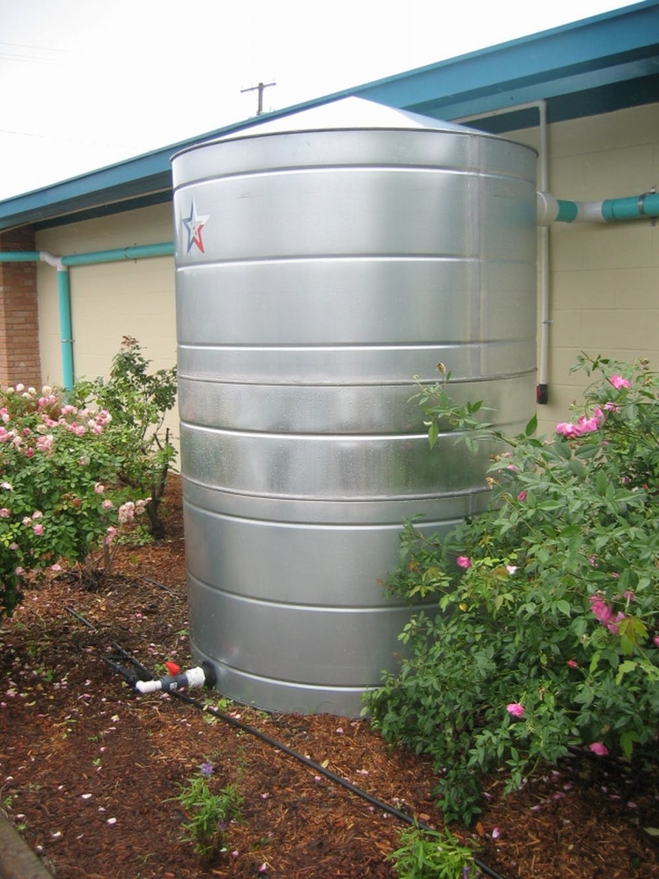 rain-harvesting.jpg rain-harvesting.jpg