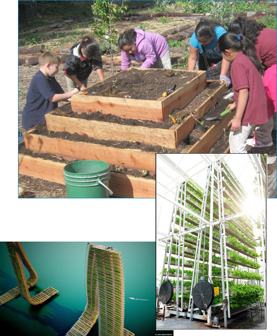 urban-gardens.png urban-gardens.png