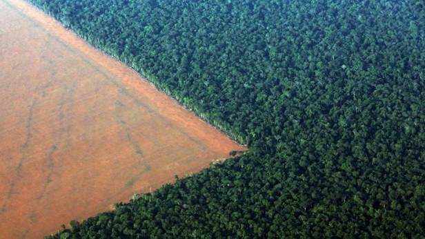 reforestation-vs-deforestation.png reforestation-vs-deforestation.png