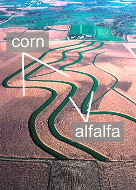 strip-cropping.png strip-cropping.png