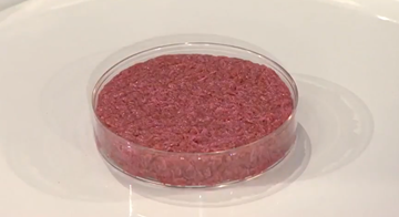 lab-grown-meat-1.png lab-grown-meat-1.png